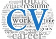 Từ vựng tiếng anh khi viết CV