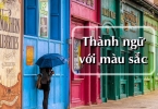 Thành ngữ tiếng Anh với màu sắc