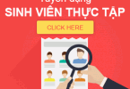 Phương Nam Digital tuyển dụng thực tập viên