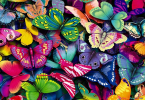 Reading: chủ đề Butterflies