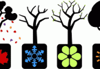 Tổng hợp các câu hỏi về chủ đề Seasons, Weather & Climate