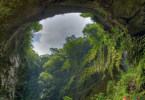 Reading: chủ đề Amazon Rainforest