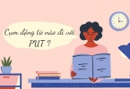 Những cụm động từ - phrasal verb đi với PUT
