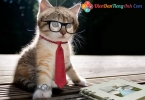 IELTS Reading: Lựa chọn chủ đề cho đoạn văn