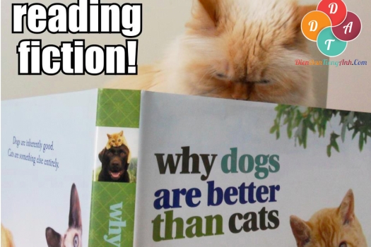 IELTS Reading: Bài tập chọn đúng sai