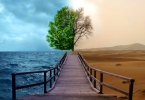 IELTS Reading: Environment