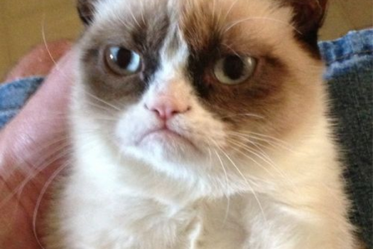 IELTS Listening: Chủ đề  Money