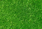 Các sắc thái nghĩa khác của từ Green trong tiếng Anh