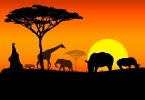 Vocabulary: Country and Nationality Part 4: Africa
