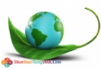 Vocabulary for Ielts: Chủ đề 'Environment' - Môi trướng