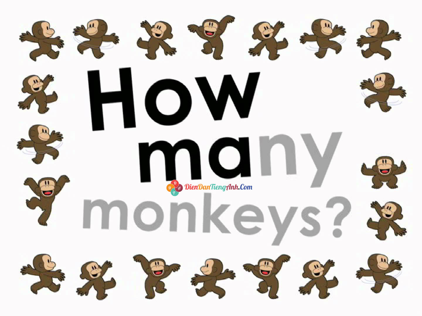 how many monkey