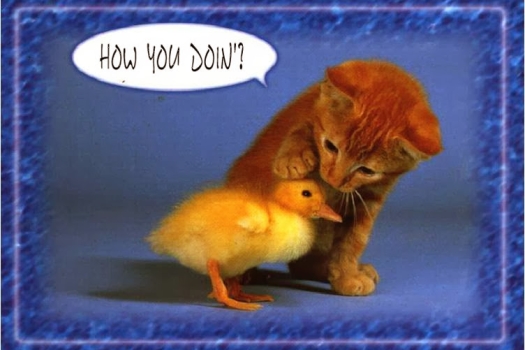 Tình huống giao tiếp Lesson 2: How are you today?