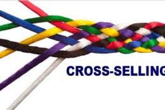 Những Bài Học Marketing Ý Nghĩa