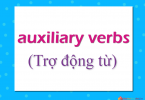 Ngữ pháp: Trợ động từ (auxiliary verbs)