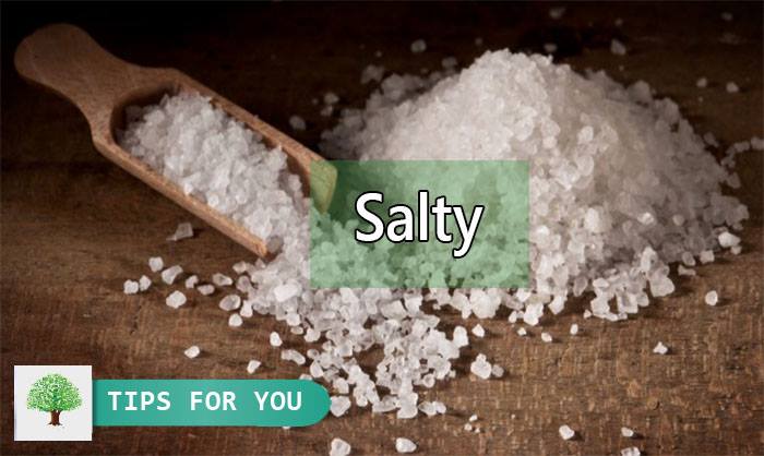 Salty /’sɔ:lti/: vị mặn, có muối làm gia vị chính