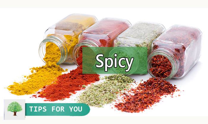 Spicy /’spaisi/: vị cay nhưng từ gia vị như ớt bột, mù tạt